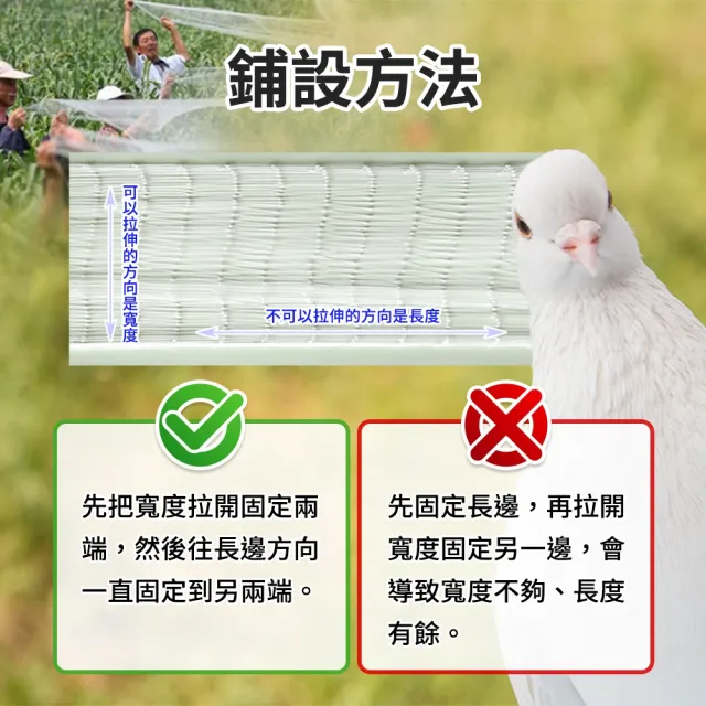 【SMILE】護欄網 植物爬藤網 3米寬40米長 防鳥網 防鳥罩 4-PB223MX40M(水鴨網 塑膠網子 萬用圍網)