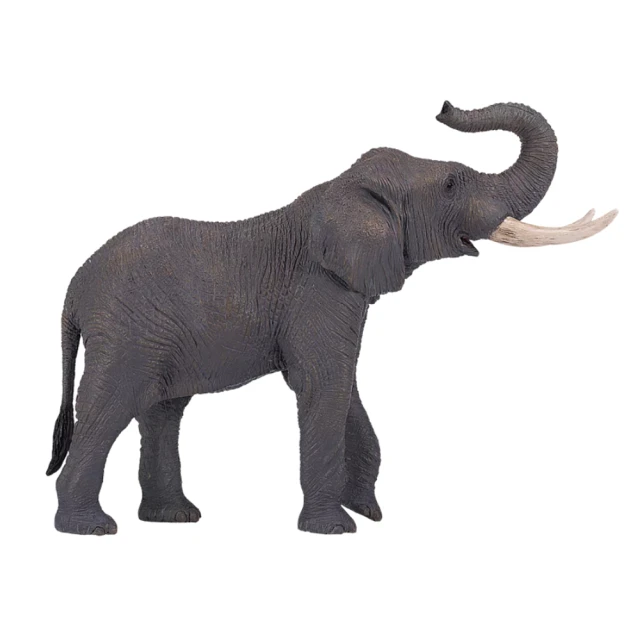 MOJO FUN 動物模型 動物星球頻道獨家授權 - 非洲象(381005)