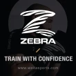 【Zebra Athletics】真皮牆靶 ZPRWMB01(拳擊靶 貼牆固定掛式訓練靶 多功能牆上沙袋沙包 散打)
