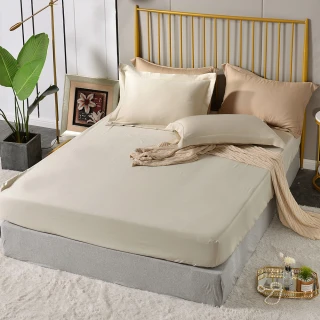 【Betrise】抗菌天絲素色枕套床包二件組-獨立筒適用加高床包- 窗台秘密(單人)