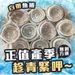 【好神】台灣鮮凍去刺白帶魚捲2包組(500g/約8-20捲/包)
