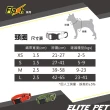 【ELITE PET】FLASH閃電系列 寵物反光頸圈 XS(橘紅)
