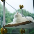 【pidan】貓咪吊床 享曬款 升級版(寵物吊床 寵物床 升級款 貓用)