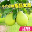 【台灣紅】斗六55年正宗老欉文旦5斤x2盒(5-9顆/5斤/中秋禮盒_共10斤_中秋柚子)買一送一