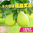 【台灣紅】斗六48年正宗老欉文旦10斤x2盒(7-12顆/10斤/中秋禮盒_共20斤_中秋柚子)