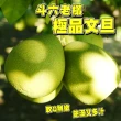 【台灣紅】斗六55年正宗老欉文旦5斤x1盒(5-9顆/5斤/中秋禮盒_中秋柚子)