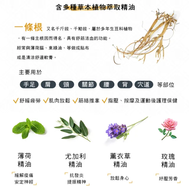 【金牌一條根】金門一條根草本植物貼布-6入組(10片/入)