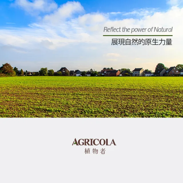 【AGRICOLA 植物者】羅馬洋甘菊精油5ml(純植物萃取天然擴香)