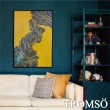【TROMSO】時尚風華抽象有框畫大幅60X90CM-摩登金線W976(有框畫掛畫掛飾抽象畫)
