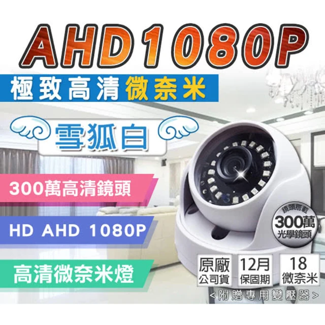 KINGNET 高解析 HD 1080P 微奈米陣列燈 18 IR LED 室內吸頂半球(白色)