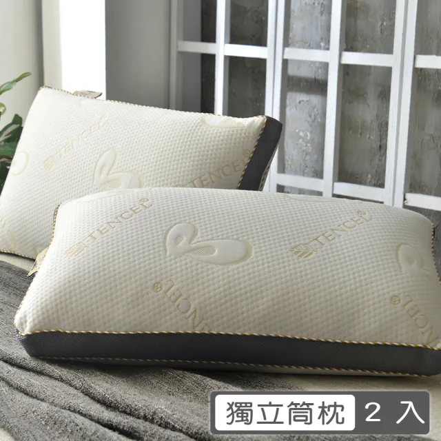 【PJ】天絲4D獨立筒透氣枕(2入)