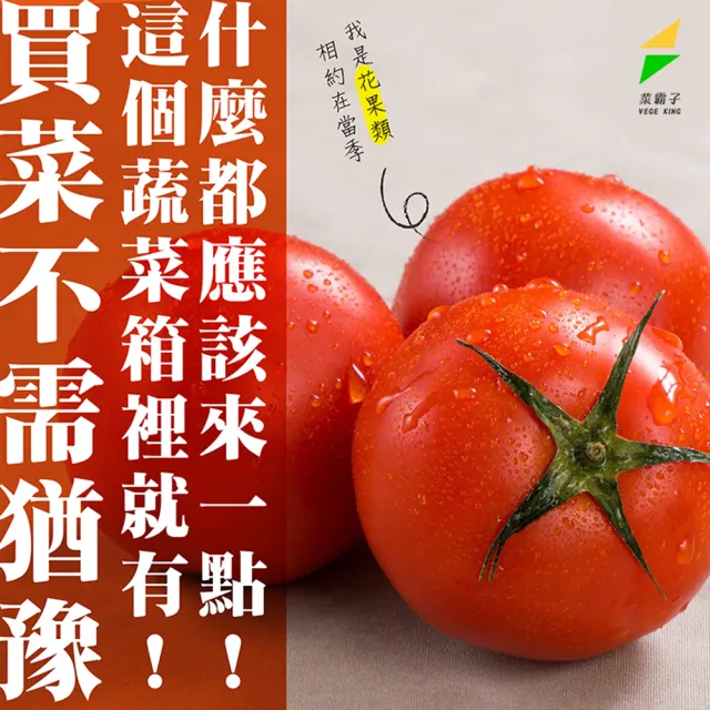 【菜霸子】蔬菜箱(活力蔬菜組合箱-組合隨機 廠商直送 現貨)