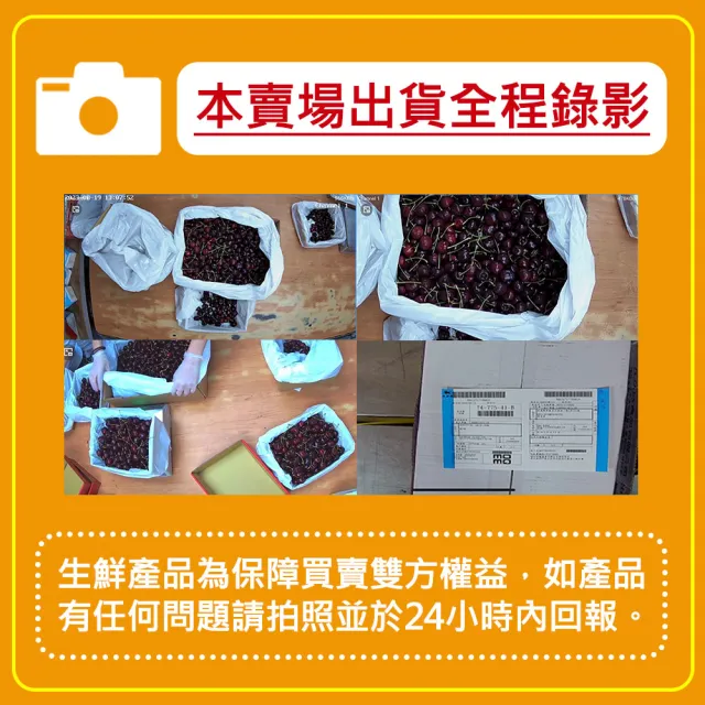 【甜露露】紐西蘭佳沛綠色奇異果25-27入x1箱(3.3kg±10%)