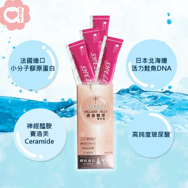 【必爾思】SHEdd 水噹噹青春精粹膠原凍 - 5 盒組 膠原QQ凍 膠原蛋白+玻尿酸二合一高效吸收(20克X35條)