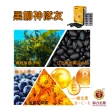 【海吉尼斯】黑色柳丁 葉黃素軟膠囊 60顆/盒(葉黃素+黑豆多酚+DHA)