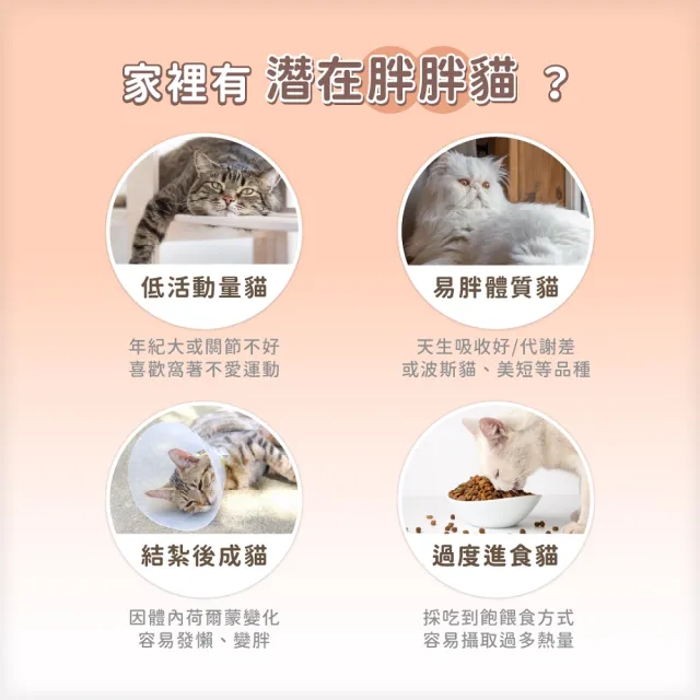 【汪喵星球】貓咪低脂無膠主食罐80g*24入(貓主食罐 全齡貓)