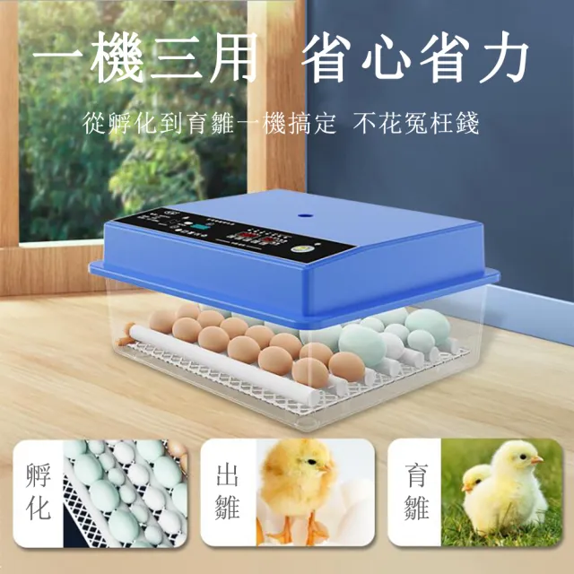巧可】孵化機64枚孵蛋器(雙電源全自動控溫小雞孵化器) - momo購物網 