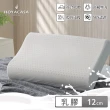 【HOYACASA】100%泰國天然乳膠枕2入-附舒柔布套、手提收納袋(多款任選 超值首選)
