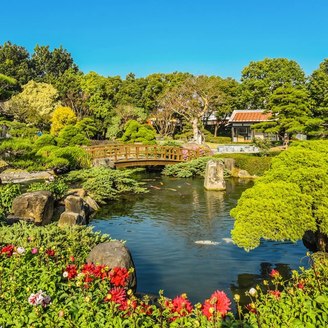 吉航旅遊 逐鹿傳說梅花鹿園忘憂達娜伊谷特富野森鐵梅園樓觀景飯