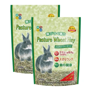 【HIPET】兔用小麥草400g/包；兩包組(小麥草 牧草 小寵牧草)
