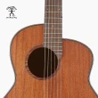 【aNueNue】L20E 原創面單系列 41吋 木吉他 電聲款(原廠公司貨 商品皆有保固一年)