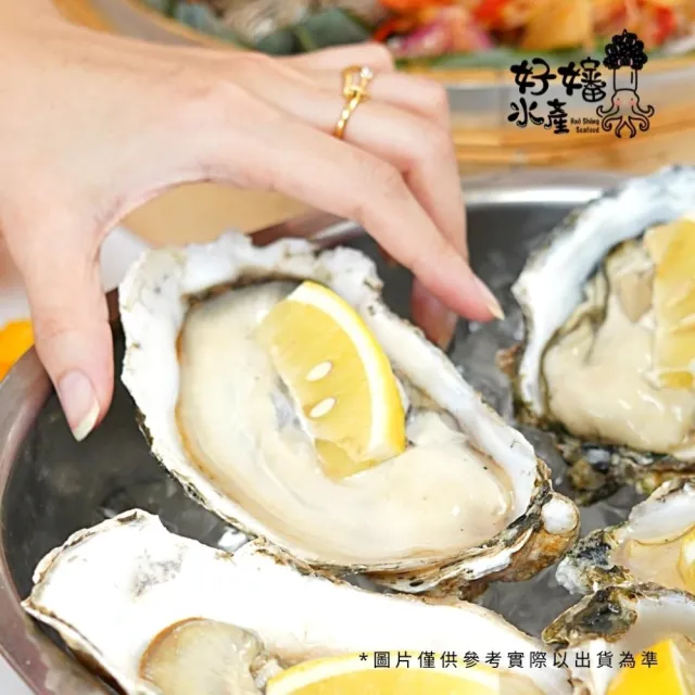 【好嬸水產】日本東北產-料亭專用生食級生蠔2XL 150G-10顆