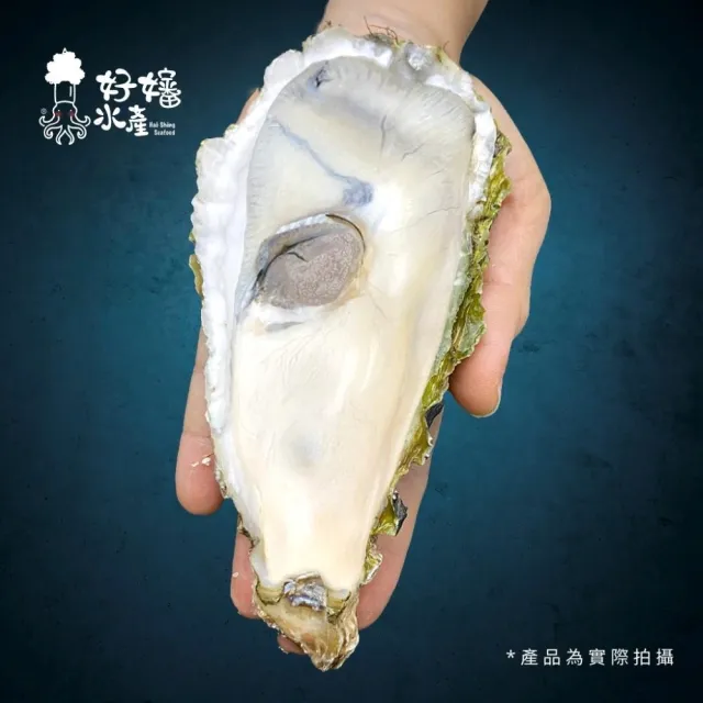 【好嬸水產】日本東北產-料亭專用生食級生蠔2XL 150G-10顆