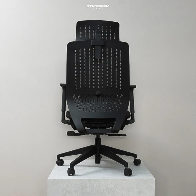 Backbone Peacock黑框網座 人體工學椅(獨家販