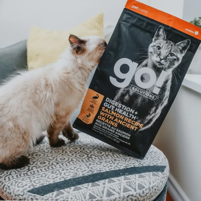 【Go!】鮭魚8磅 腸胃保健系列 全貓配方(貓糧 貓飼料 腸胃敏感 益生菌 全齡貓 寵物食品)