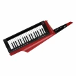 【KORG】RK-100S 2 Keytar 37鍵 肩背式合成器鍵盤 黑色 / 紅色(原廠公司貨 商品保固有保障)