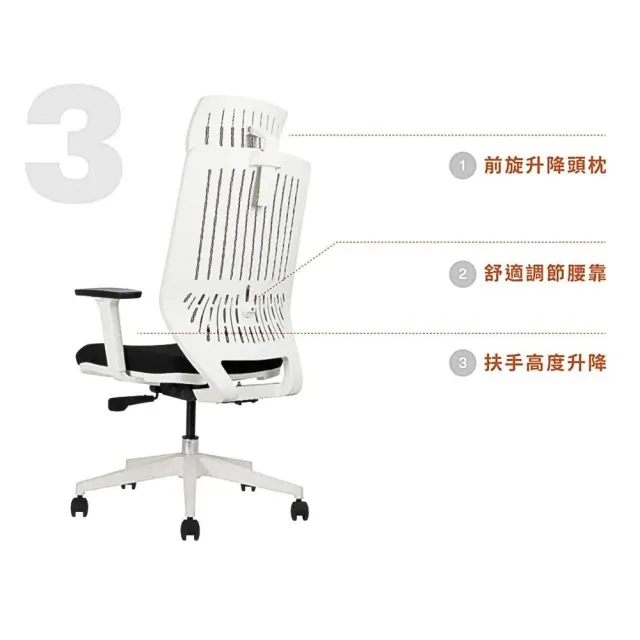 【Backbone】Peacock白框網座 人體工學椅(獨家販售透氣網座款)