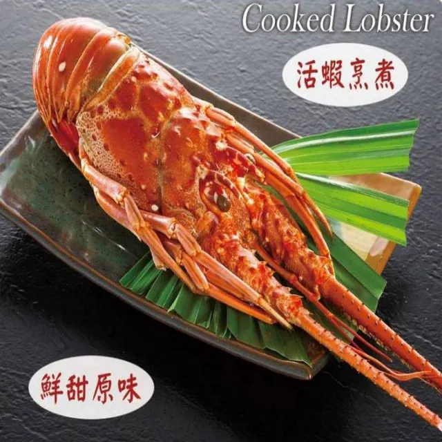 【海之醇】野生熟凍龍蝦-2隻組(400g/隻)