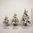 【KIRA與花花藝】PE法式質感聖誕樹落雪款/大-雪花白/桌上聖誕樹(永生花裝飾/聖誕禮物/聖誕節/聖誕樹)