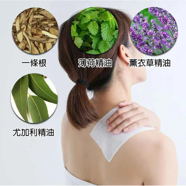 【金牌一條根】金牌金門一條根貼布超長超大片2包10片入先涼後熱(一條根貼布最大尺寸 大面積使用 痠痛消解)