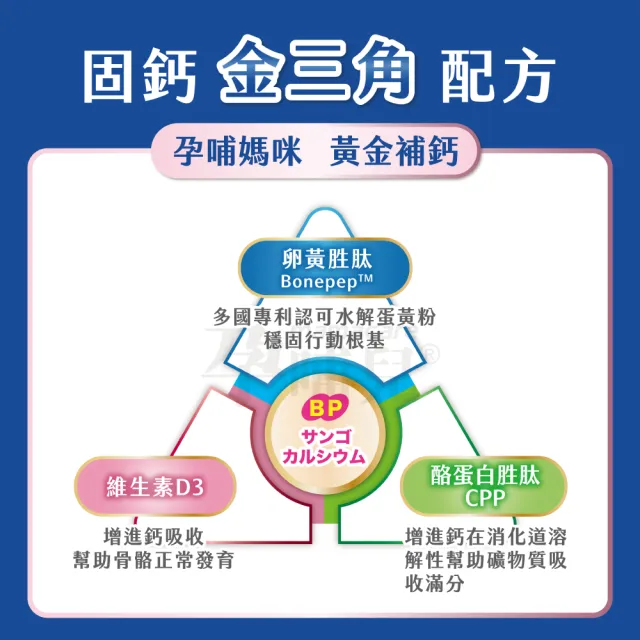 【孕哺兒】新一代BP天然珊瑚鈣+D3★膠囊 300粒(添加卵黃胜肽)