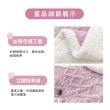 【寢聚 Sleep Club】買1送1 加厚雙面塔芙蓉&羊羔絨毛毯-4色任選(100x150cm)