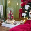【KIRA與花花藝】聖誕獻禮．永生花聖誕樹LED玻璃罩大款-聖誕紅(夜燈/聖誕禮物/聖誕節/交換禮物/聖誕樹)