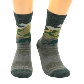 【ADISI】美麗諾羊毛保暖襪 AS23060 / 山霞綠(毛襪 保暖襪 中筒襪 滑雪襪)
