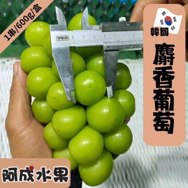 阿成水果 韓國麝香葡萄1串/600g*1盒(果粒碩大_飽滿多