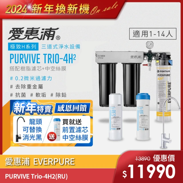 EVERPURE 濾心 4C2(3入組)優惠推薦