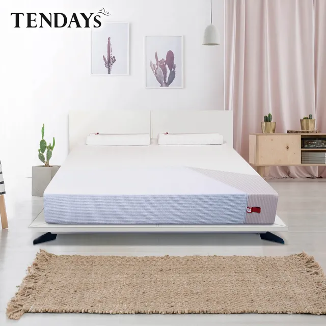 【TENDAYS】包浩斯紓壓床墊5尺標準雙人(22cm厚 可兩面睡 記憶床)