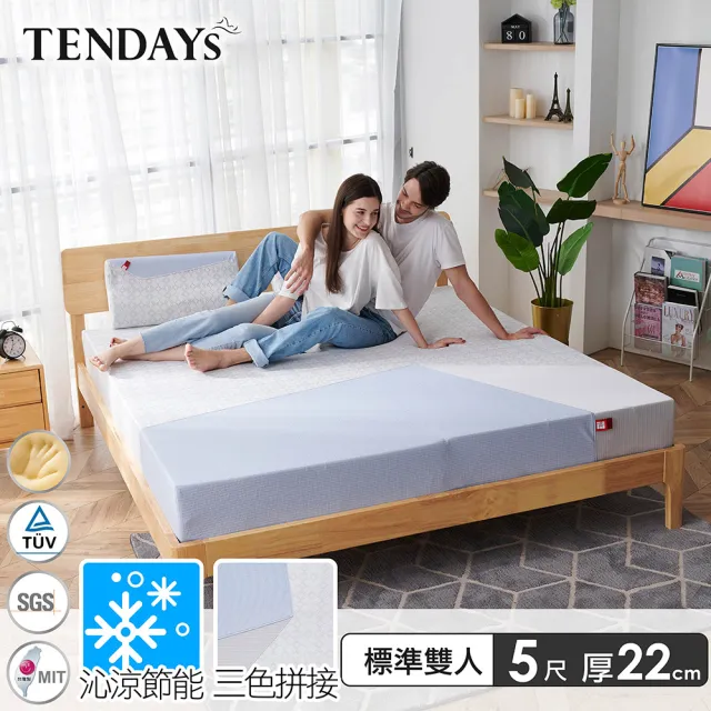 【TENDAYS】包浩斯紓壓床墊5尺標準雙人(22cm厚 可兩面睡 記憶床)