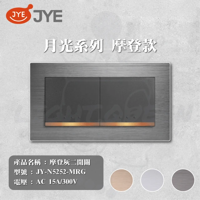 中一電工 JYE 單入 月光系列 摩登系列 二切開關 開關(型號 JY-N5252-MRG)