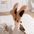 【Porabella】一組2雙 日系暖暖襪 珊瑚絨 絨毛襪 動物襪 貓熊襪 保暖襪 可愛襪子 女生中筒襪 SOCKS