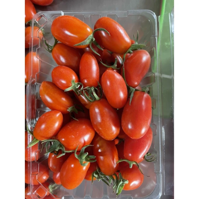 皮果家 雙色小番茄4斤/箱 推薦