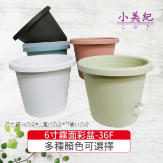 【小美紀】6寸霧面彩盆(育苗盆  栽培盆 彩盆 草莓盆 6寸圓盆  多肉盆 園藝)