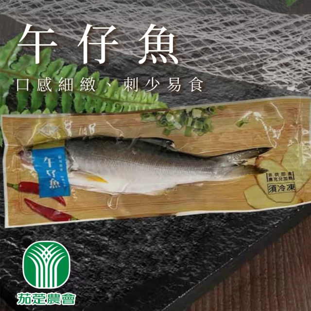 一手鮮貨 厚切頂級油帶魚(3尾組/殺清前1.1kg/白帶魚/