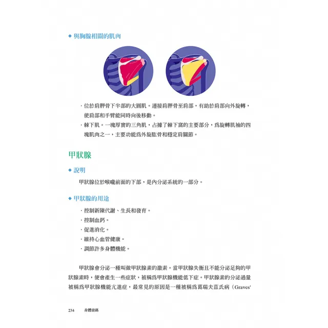 情緒密碼+身體密碼