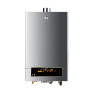 【Haier 海爾】16L智能恆溫強制排氣熱水器DC5(JSQ31-16NG1/FE 基本安裝)