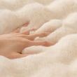 【BonBon naturel】二人座全罩式/仿兔毛泡泡絨保暖沙發巾蓋布-180*230CM(沙發巾/沙發蓋布/沙發墊/沙發罩)